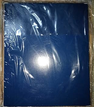 Amazon.co.jp: スクールデイズ スクイズ クロスデイズ 桂言葉